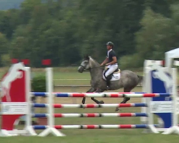 Reitturnier Bad Kissingen/Ufr. 2022
