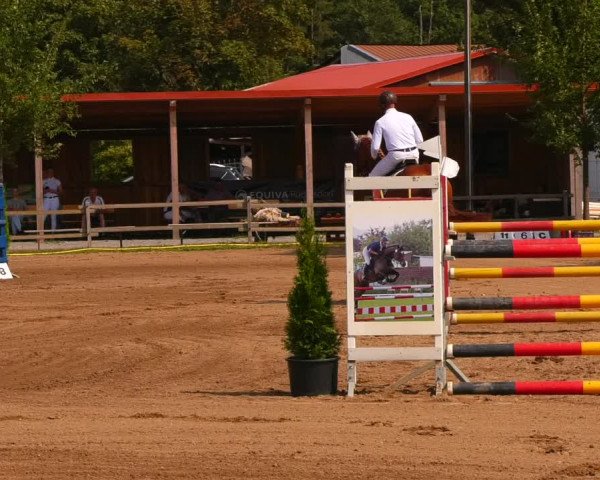 Reitturnier Altlandsberg 2022