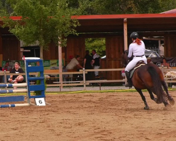 Reitturnier Altlandsberg 2022