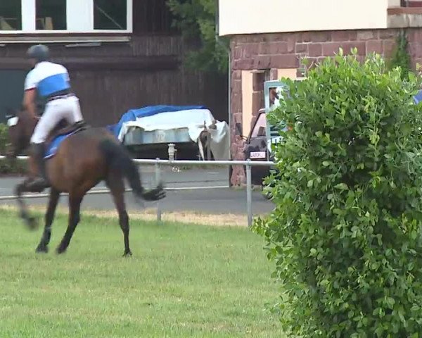 Reitturnier Bad Kissingen/Ufr. 2022