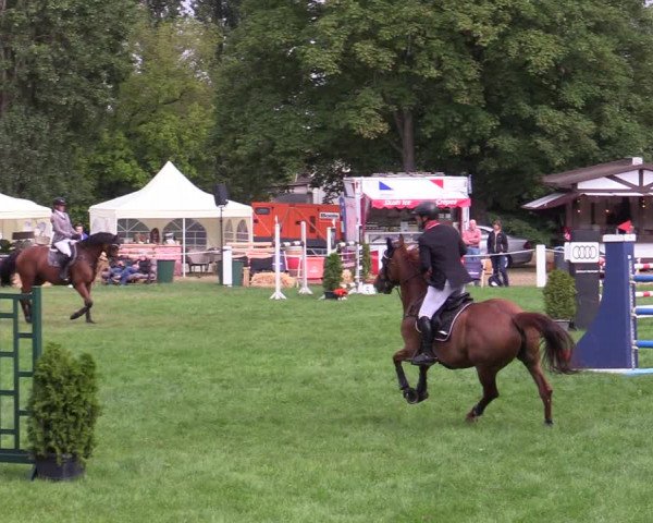 Reitturnier Hannover/Reiterstadion 2022