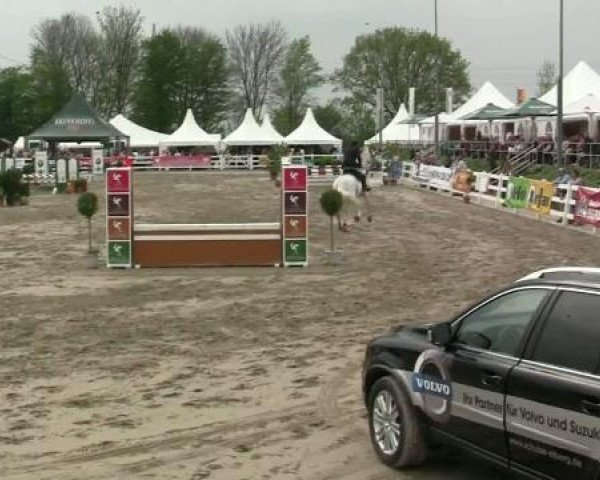 jumper Finn 37 (Westphalian, 2000, from Florestan II)