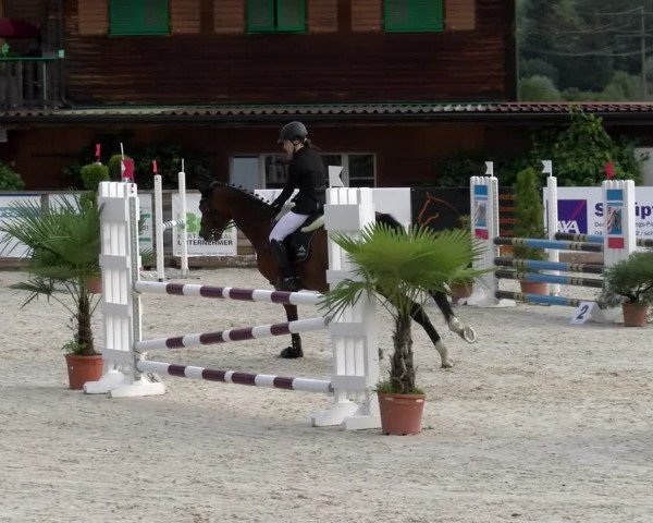 Reitturnier Schüpfheim 2022