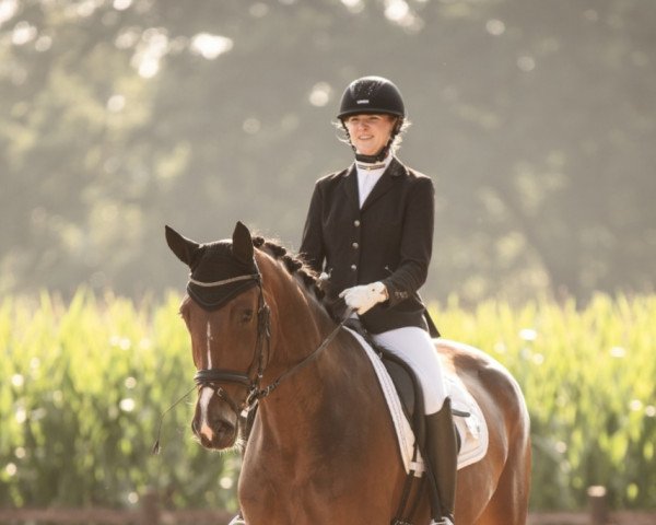 dressage horse Quinn Rose (Hanoverian, 2018, from Quaterhall) dressage horse Quinn Rose (Hanoverian, 2018, from Quaterhall)