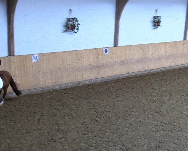 Reitturnier Olfen-Vinnum 2022
