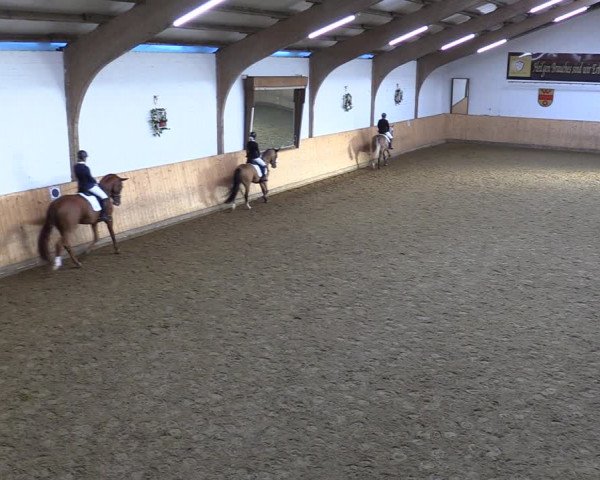 Reitturnier Olfen-Vinnum 2022
