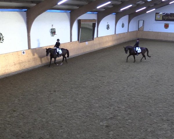 Reitturnier Olfen-Vinnum 2022
