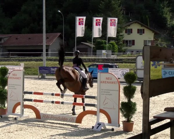 Reitturnier Schüpfheim 2022