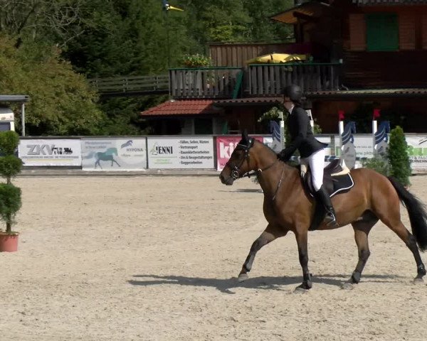 Reitturnier Schüpfheim 2022