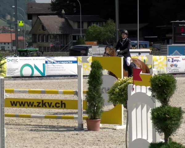 Reitturnier Schüpfheim 2022