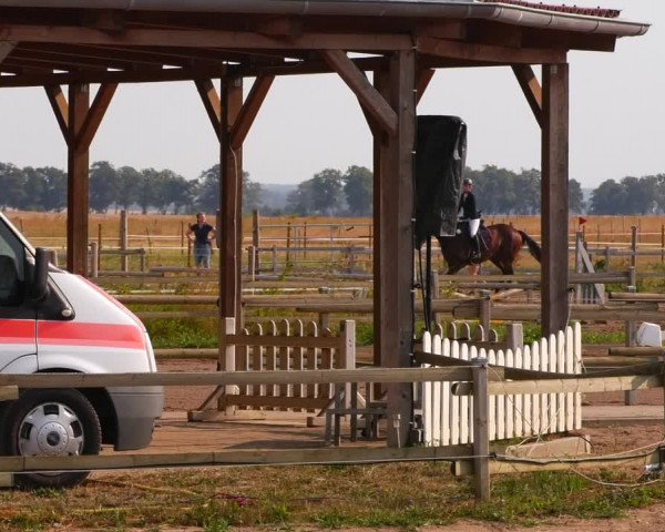 Reitturnier Altlandsberg 2022