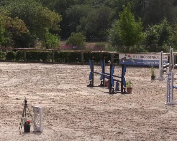 Reitturnier Monschau-Mützenich 2022
