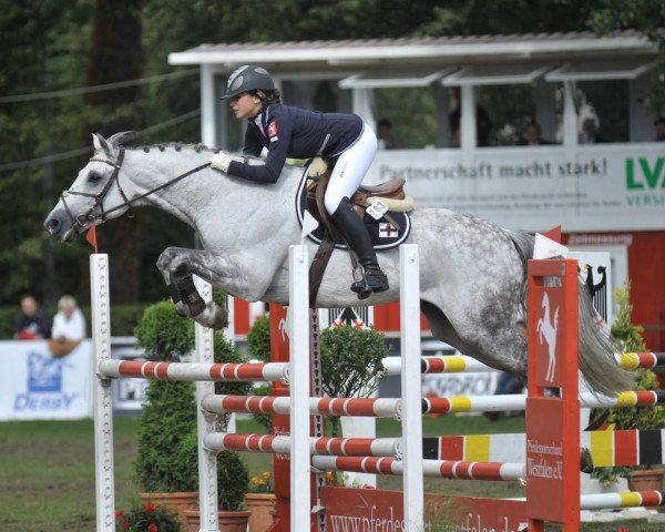 jumper Cadoro (Holsteiner, 2003, from Caretino)