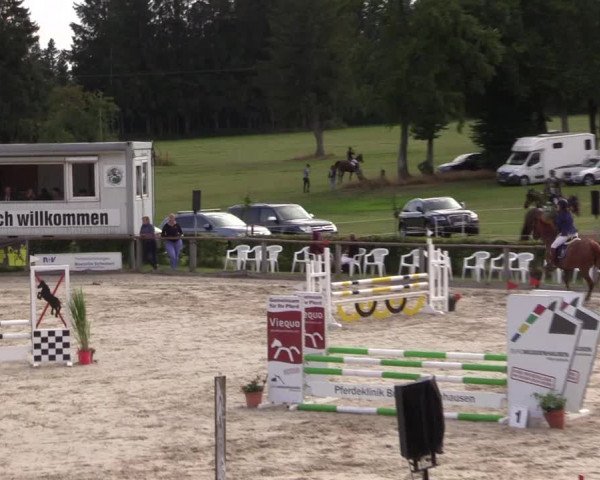 Reitturnier Monschau-Mützenich 2022