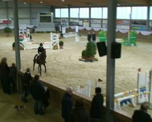 jumper C'est la vie 23 (German Riding Pony, 1995, from Confetti)