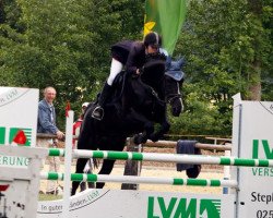 broodmare Piroschka 587 (Westphalian, 2000, from Pep)