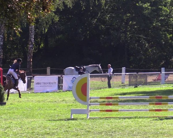 Reitturnier Hannover/Reiterstadion 2022