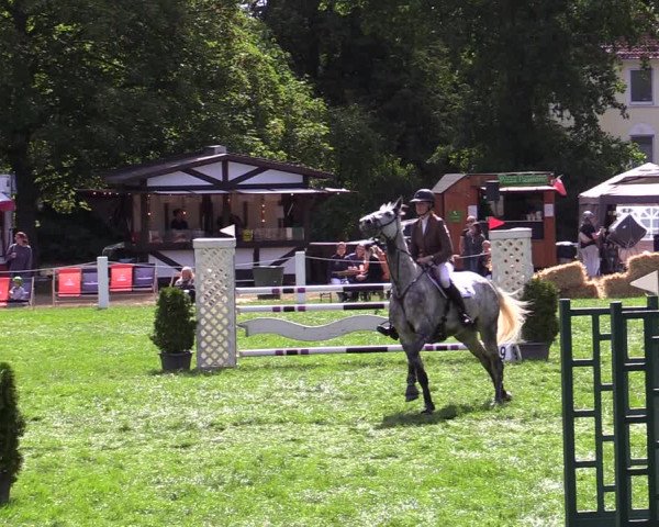 Reitturnier Hannover/Reiterstadion 2022