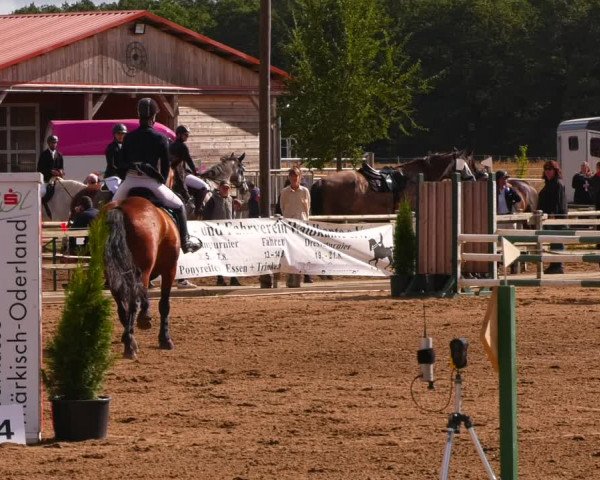 Reitturnier Altlandsberg 2022