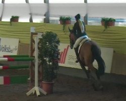 jumper O'Cacao du Breuil (Selle Français, 2002, from Cacao Courcelle)