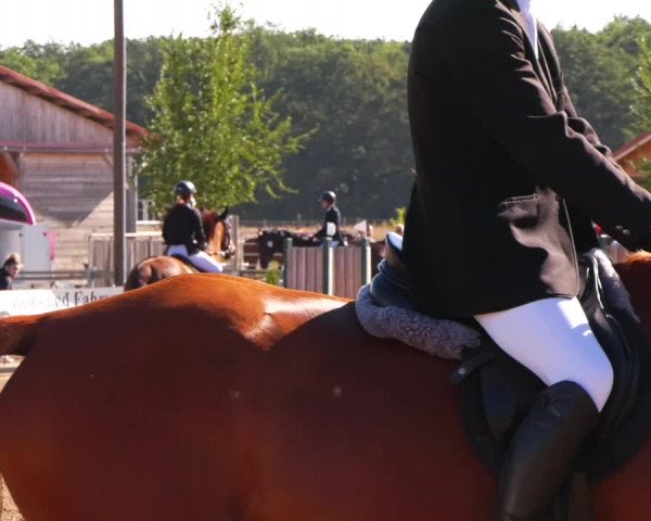 Reitturnier Altlandsberg 2022