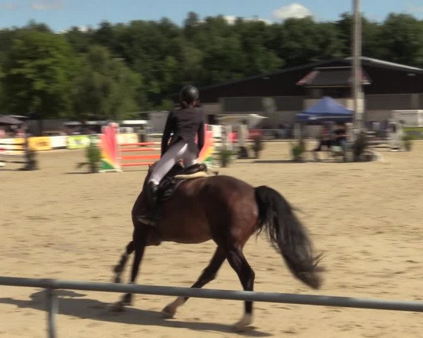 Reitturnier Olfen-Vinnum 2022