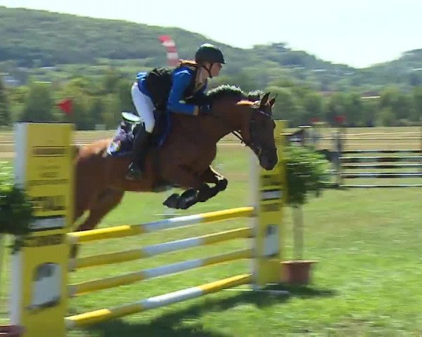 Reitturnier Bad Kissingen/Ufr. 2022