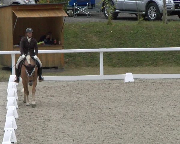 Reitturnier Bülach 2022