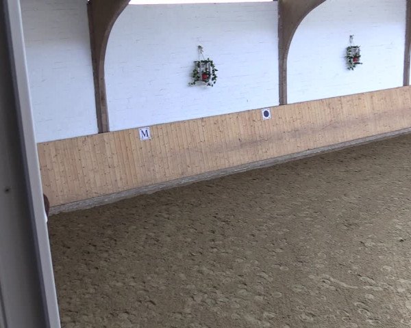 Reitturnier Olfen-Vinnum 2022