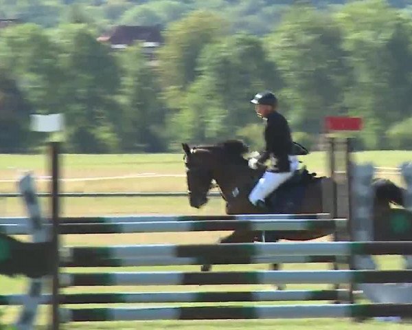 Reitturnier Bad Kissingen/Ufr. 2022