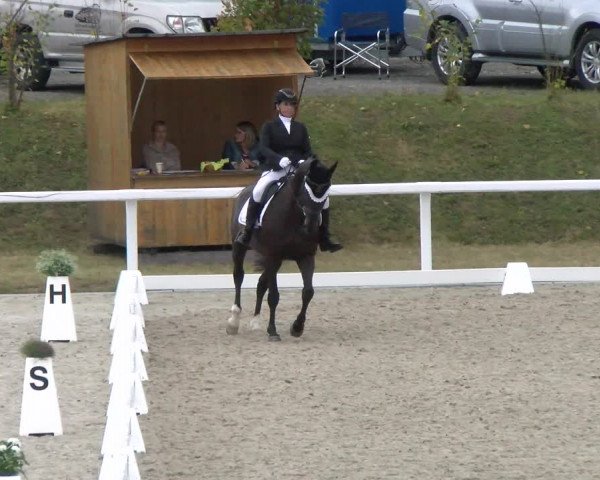 Reitturnier Bülach 2022