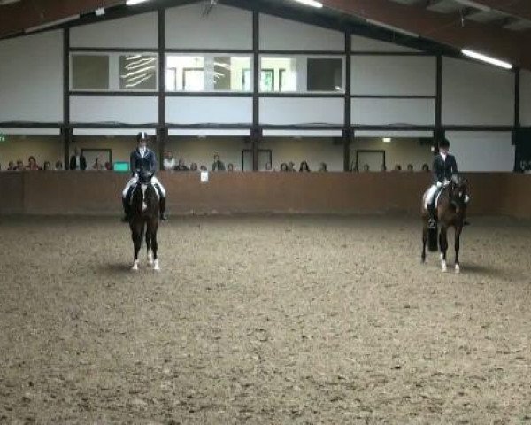 dressage horse L'amour toujours 4 (Westphalian, 2004, from Lamerto H)