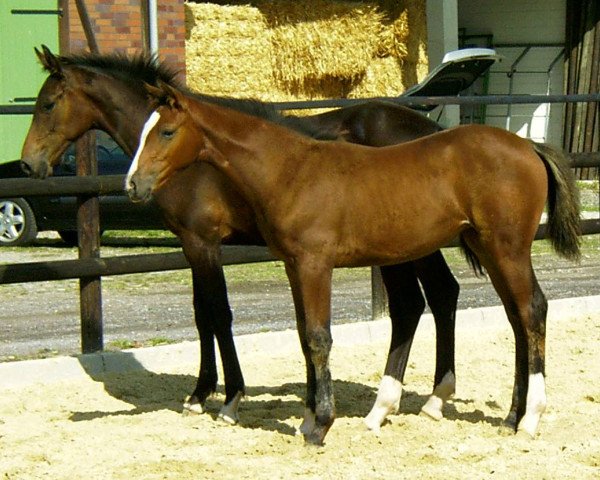 broodmare Lea-Fortuna (Westphalian, 2004, from Lacordos)