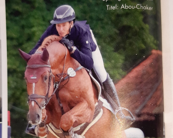 jumper Iron Dames Abou-Chaker NRW (Westphalian, 2017, from Alaba 2)