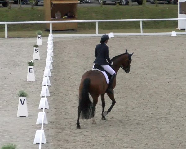 Reitturnier Bülach 2022