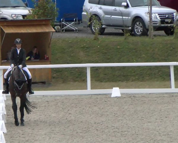 Reitturnier Bülach 2022