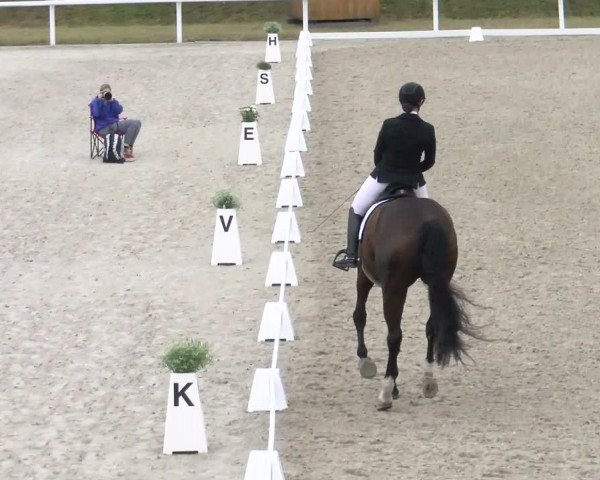 Reitturnier Bülach 2022