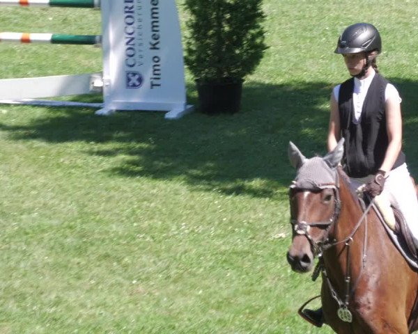 Reitturnier Waghäusel-Wiesental 2022