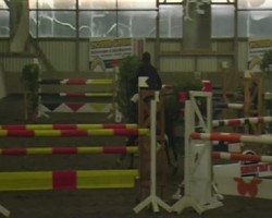 Springpferd Dali Z (Zangersheide Reitpferd, 1997, von Duc De Moyon Z)
