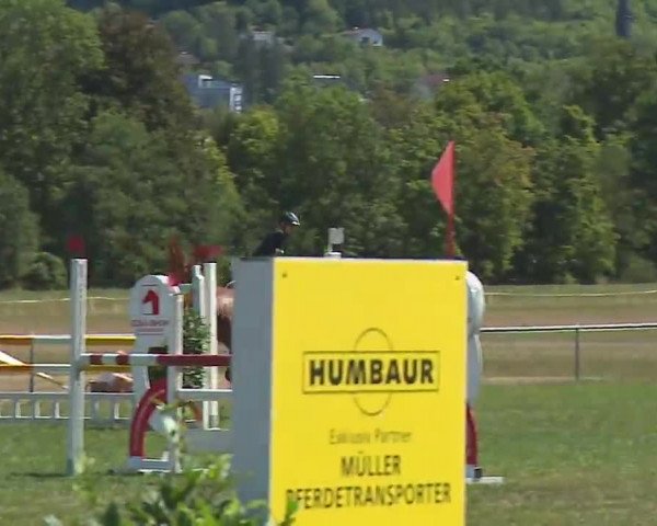 Reitturnier Bad Kissingen/Ufr. 2022
