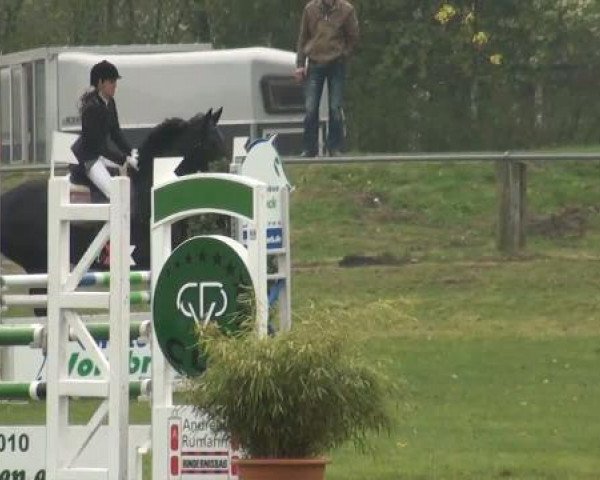 jumper Fajenne (Westphalian, 2001, from Fidermark)