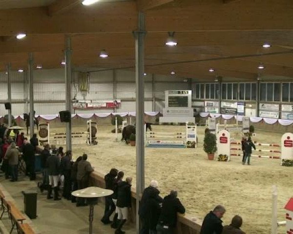 jumper Gringo 259 (Hanoverian, 2004, from Graf Grannus)