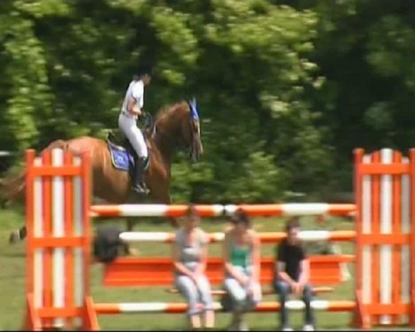 jumper Cilian Lopez (Hanoverian, 1998, from Carbid 3)