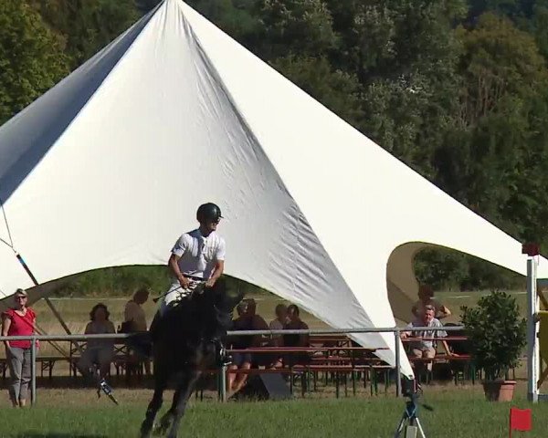 Reitturnier Bad Kissingen/Ufr. 2022