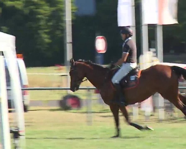 Reitturnier Bad Kissingen/Ufr. 2022