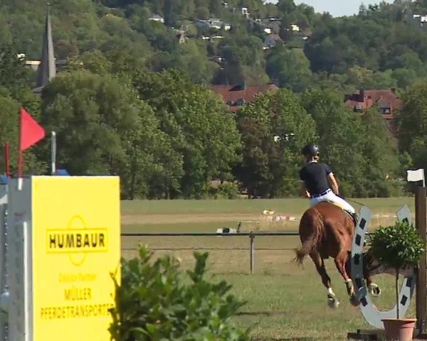 Reitturnier Bad Kissingen/Ufr. 2022