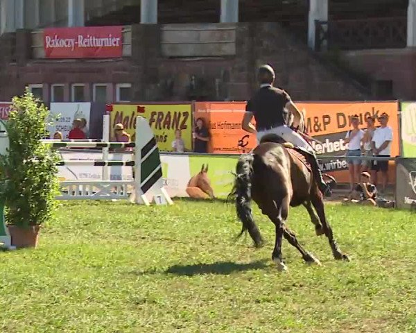 Reitturnier Bad Kissingen/Ufr. 2022