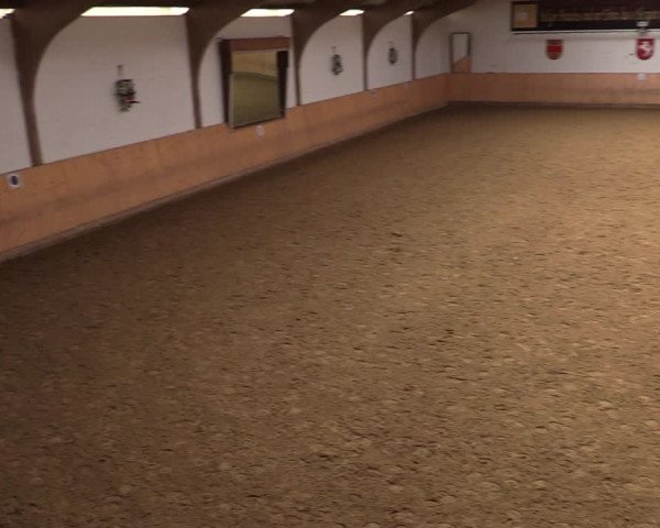 Reitturnier Olfen-Vinnum 2022