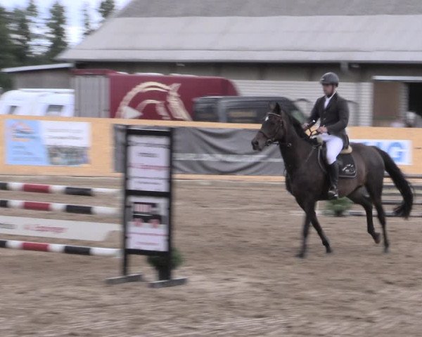 Reitturnier Hohen-Wangelin/OT Cramon 2022
