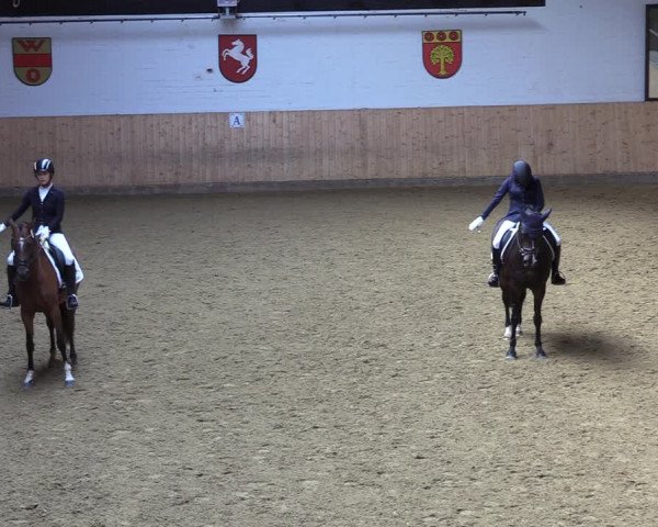Reitturnier Olfen-Vinnum 2022